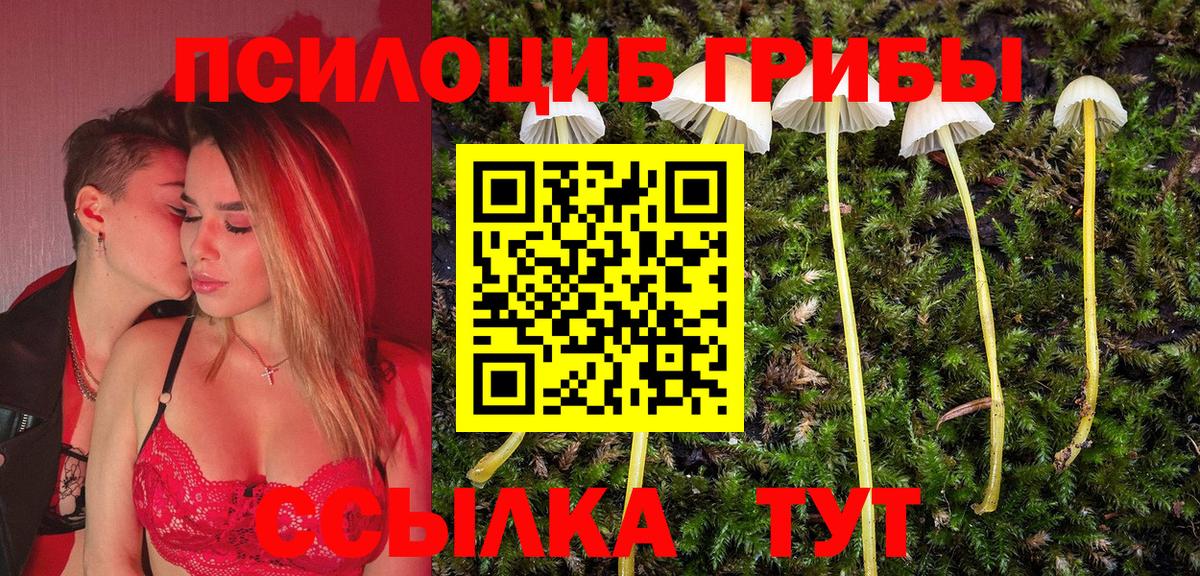 Тельмана  Галлюциногенные грибы мицелий  Вход с VPN 